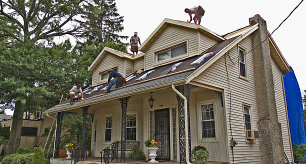Best Local Roofing Companies  in Denmark, WI