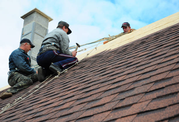 Best Slate Roofing Contractor  in Denmark, WI