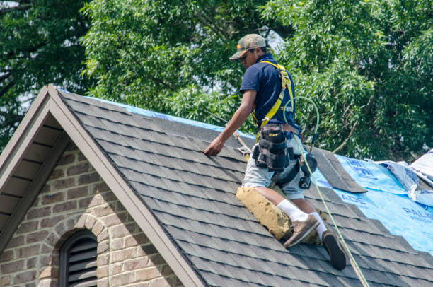 Best Roof Gutter Cleaning  in Denmark, WI